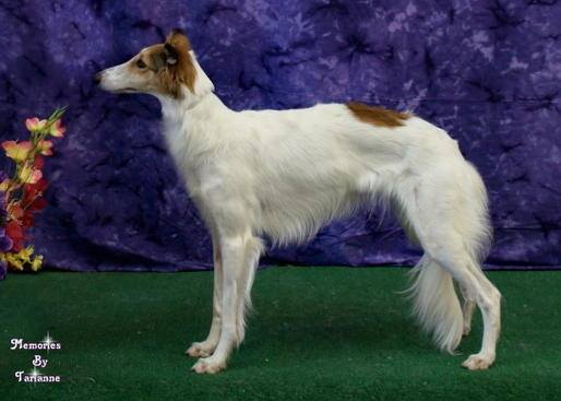 Photo of Morgandell Clara Bow