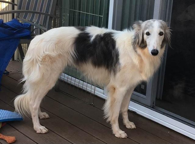 Photo of Morgandell Final Fantasy