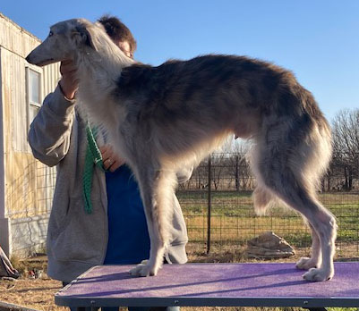 Photo of Morgandell Ragnor Fell