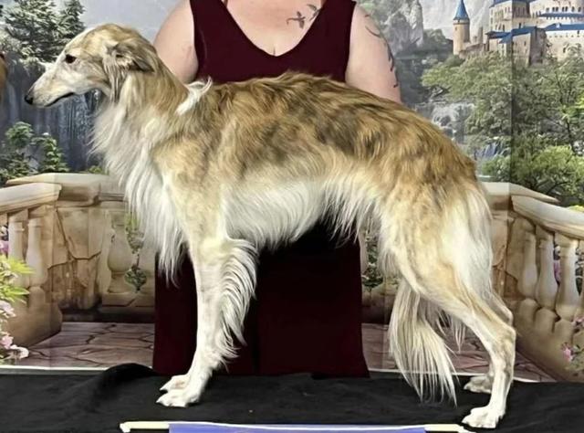 Photo of Obsidian Sunera Mauna Loa