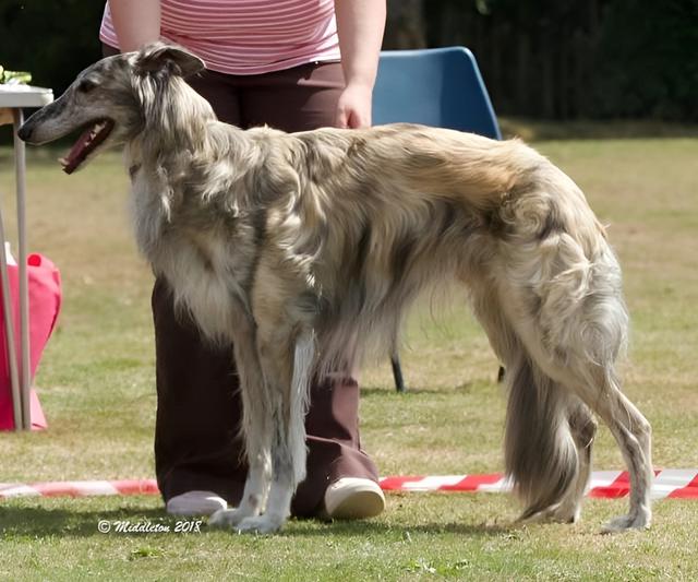 Photo of Prince Caspian of SilkenJoy