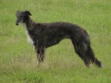 Photo of Renaissance By Cognac