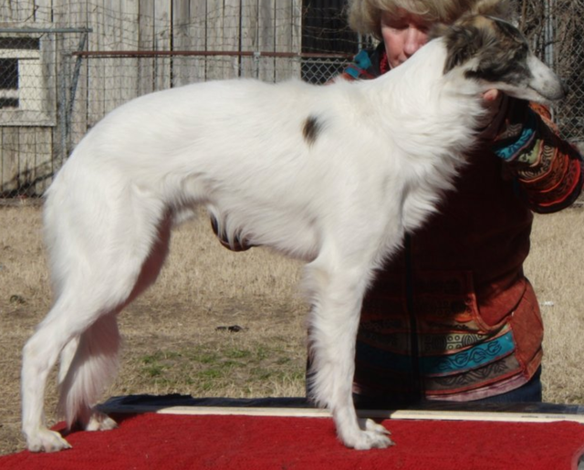 Photo of Renaissance Kristull On Stage