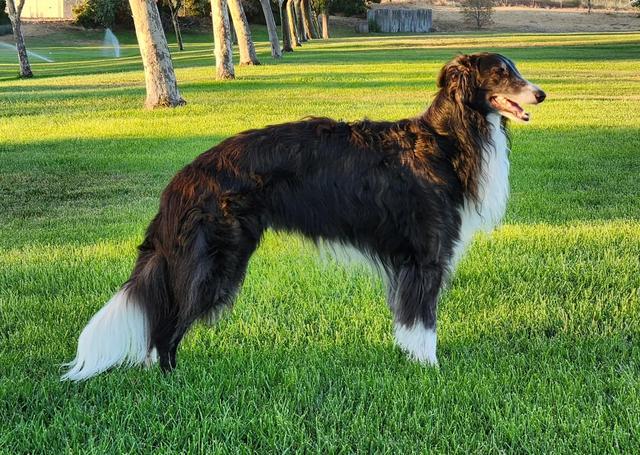 Photo of Rubia Hanabi