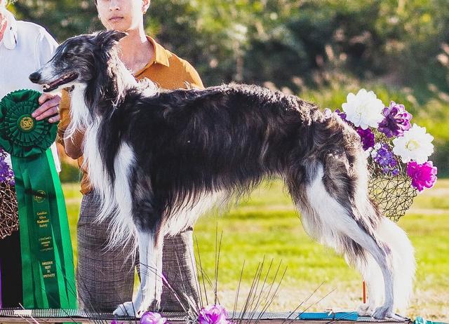 Photo of Runways Best Part of Waking Up