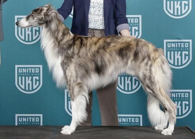 Photo of Satara's Hardcore Parkour