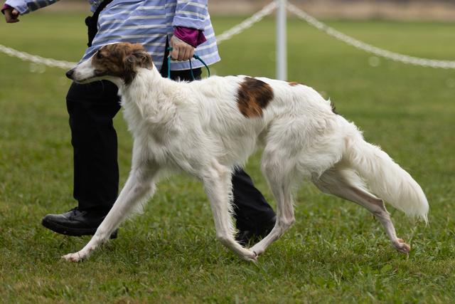 Photo of Satomi Winsome Wishful Tempest