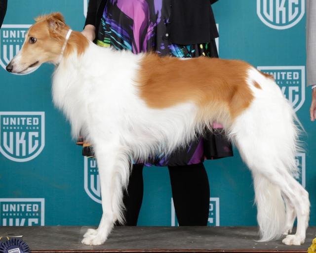 Photo of Satomi's Strength in the Force