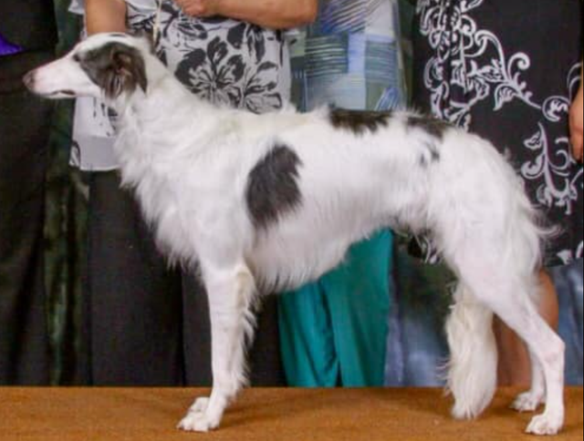 Photo of Satsuma Cool Run DJ Escape