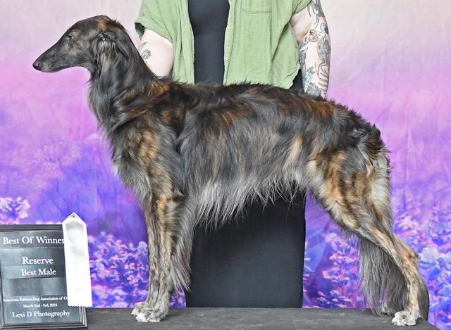 Photo of Satsuma Kermit the Frog