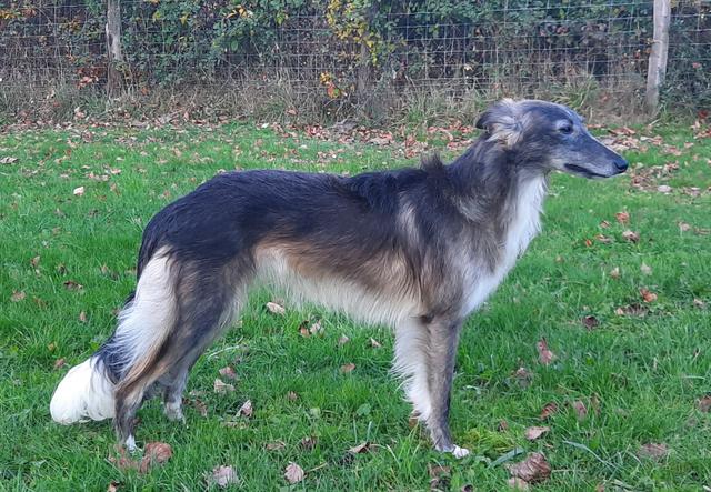 Photo of Secret Haven Born 2B Wild