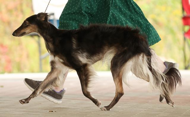 Photo of Secret Haven Svetlana