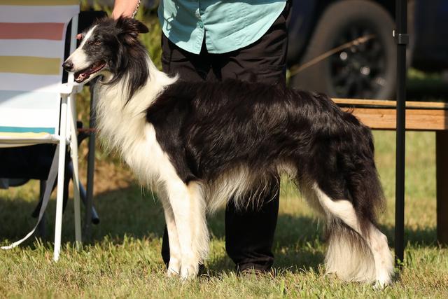 Photo of Secret Haven's Night Star