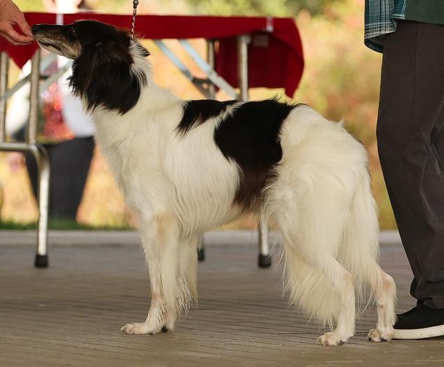 Photo of Secret Haven's Weeping Willow