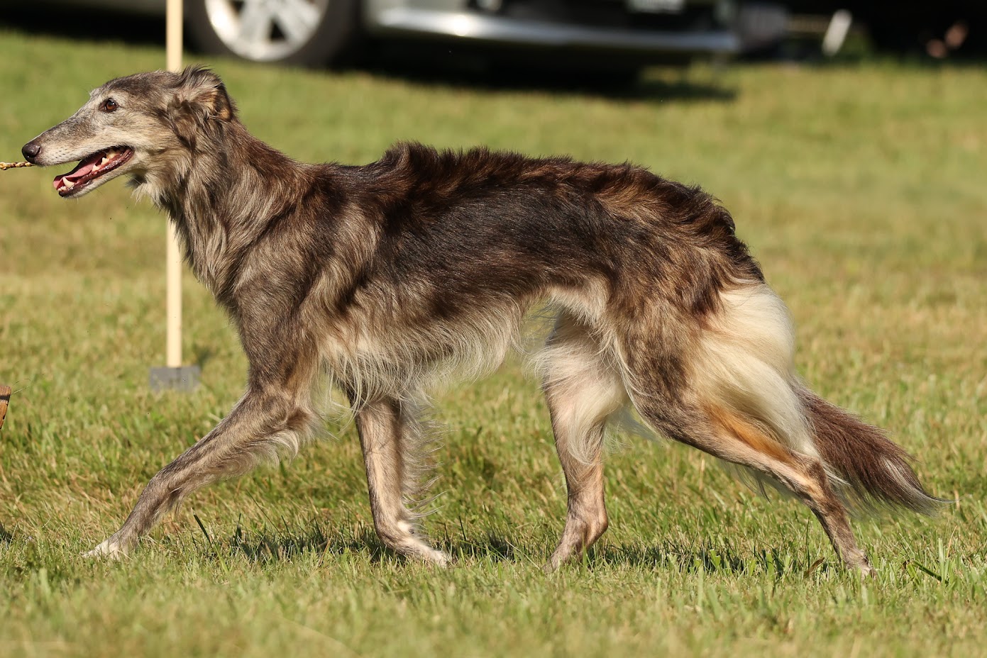 Photo of Secret Haven's Wind of Fury