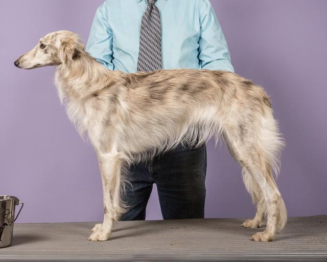 Photo of Serenity Allagante My Nadia