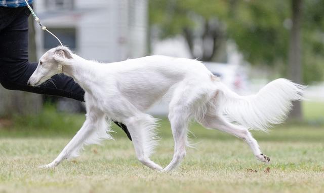 Photo of Sigil Eastertide