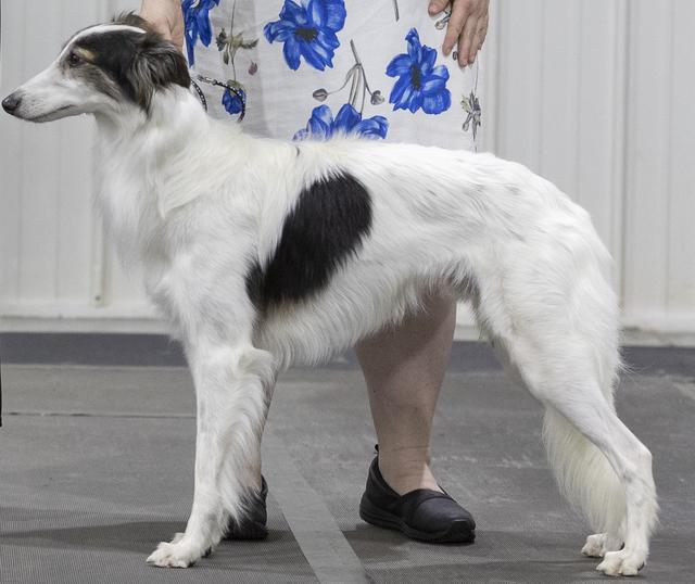 Photo of Solo's Enter The Dragon