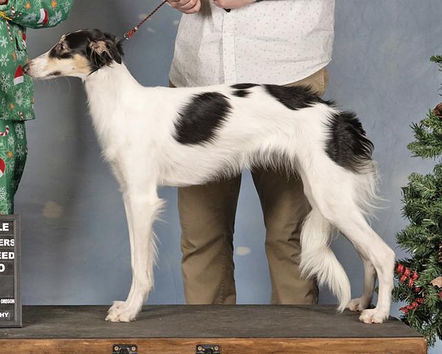 Photo of Sorrento Crown Jewel