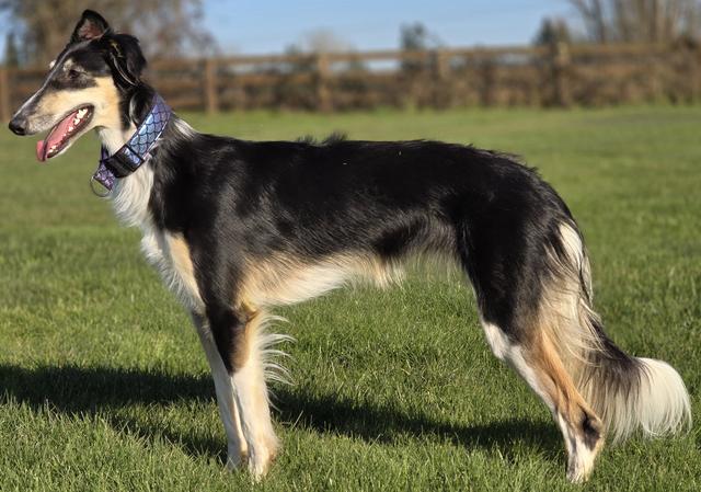 Photo of Sorrento Fit for a Queen