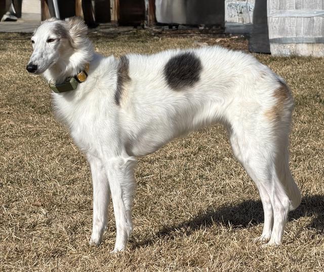 Photo of Sunera's Mirror of Erised