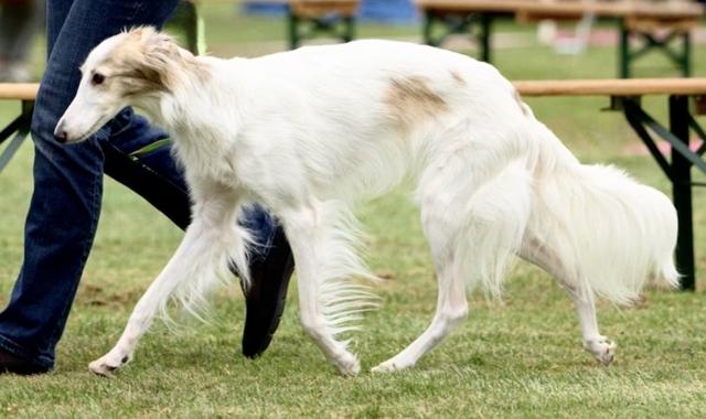 Photo of Talisman of Arcadia