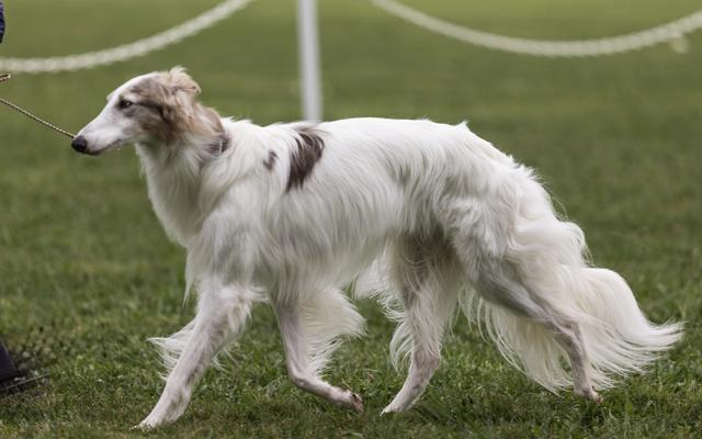 Photo of Talisman of Atlantis