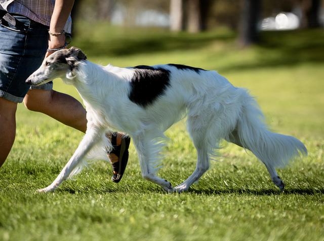 Photo of Talisman of Camelot