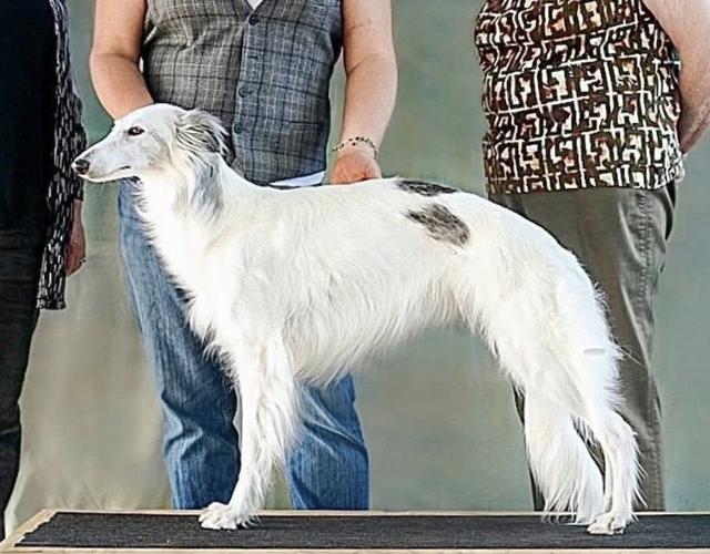 Photo of Talisman of Hera