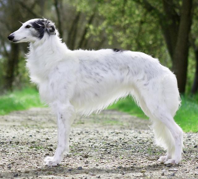 Photo of Talisman of Juno