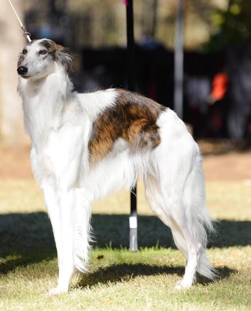 Photo of Talisman's Infinity