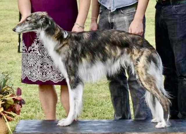 Photo of Talisman's Kairos