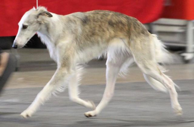 Photo of Tangaloor All About Soul