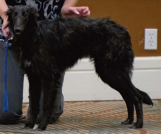 Photo of Tangaloor All Hallows Eve