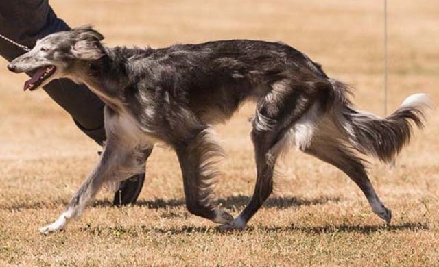 Photo of Tangaloor Boys on the Side