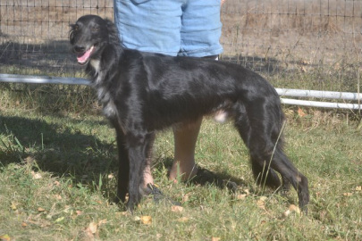 Photo of Tangaloor Midnight Run