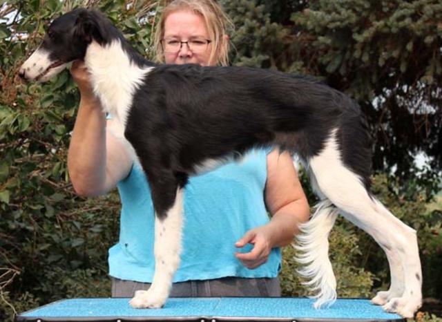 Photo of Tangaloor The Price of Gold