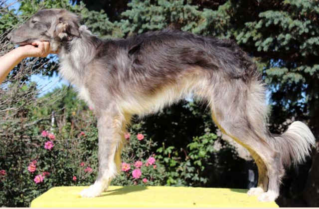 Photo of Tangaloor We Got The Beat