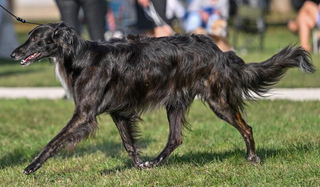 Photo of Tegár Kapitány Wind of Amiata