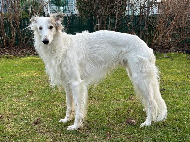 Photo of Tegár Kapitány Wind of Aneto