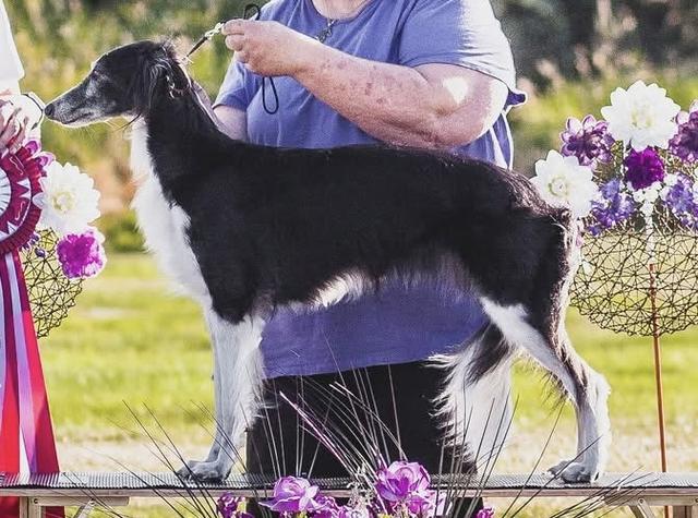 Photo of WildRose Allagante Inara