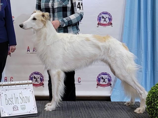 Photo of Wildmeadow First Flight