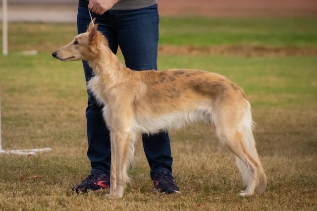 Photo of WindnSatin Behold the Truth