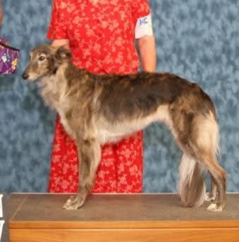 Photo of WindnSatin Bells v Legend