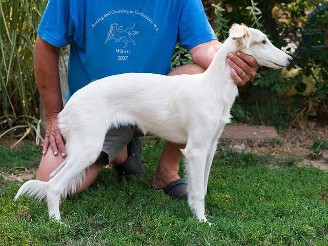 Photo of Windspirit Dancin the Salsa