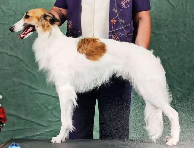 Photo of Winsome-Kinobi's True Grit