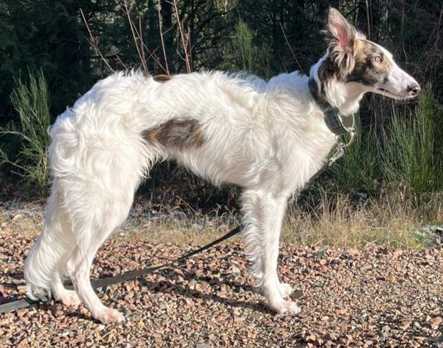 Photo of Winsome's Faron Grasslands