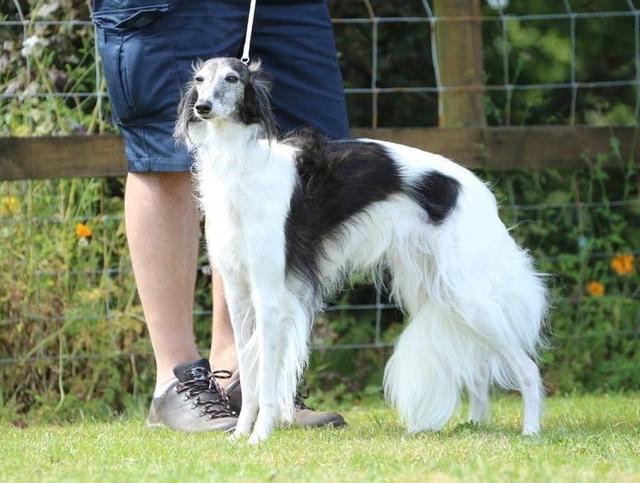 Photo of Winsome's In Vogue