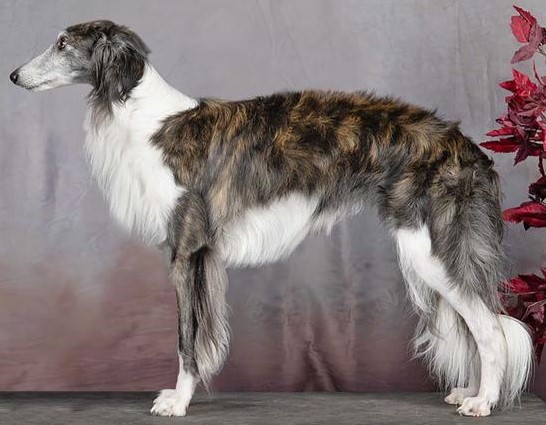 Photo of Winsome's Lomei Sky