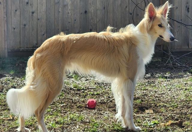 Photo of Winsome's Minshi Grove